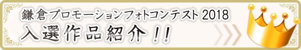 フォトコンテスト入賞者発表