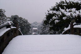 雪の八幡宮