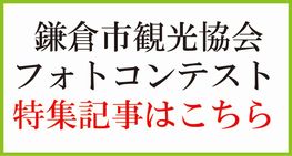 フォトコンテスト特集
