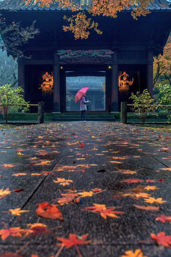 雨の日のお参り