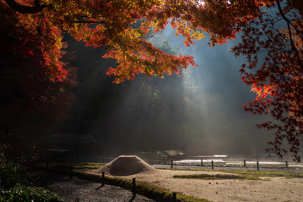 朝もやの明月院