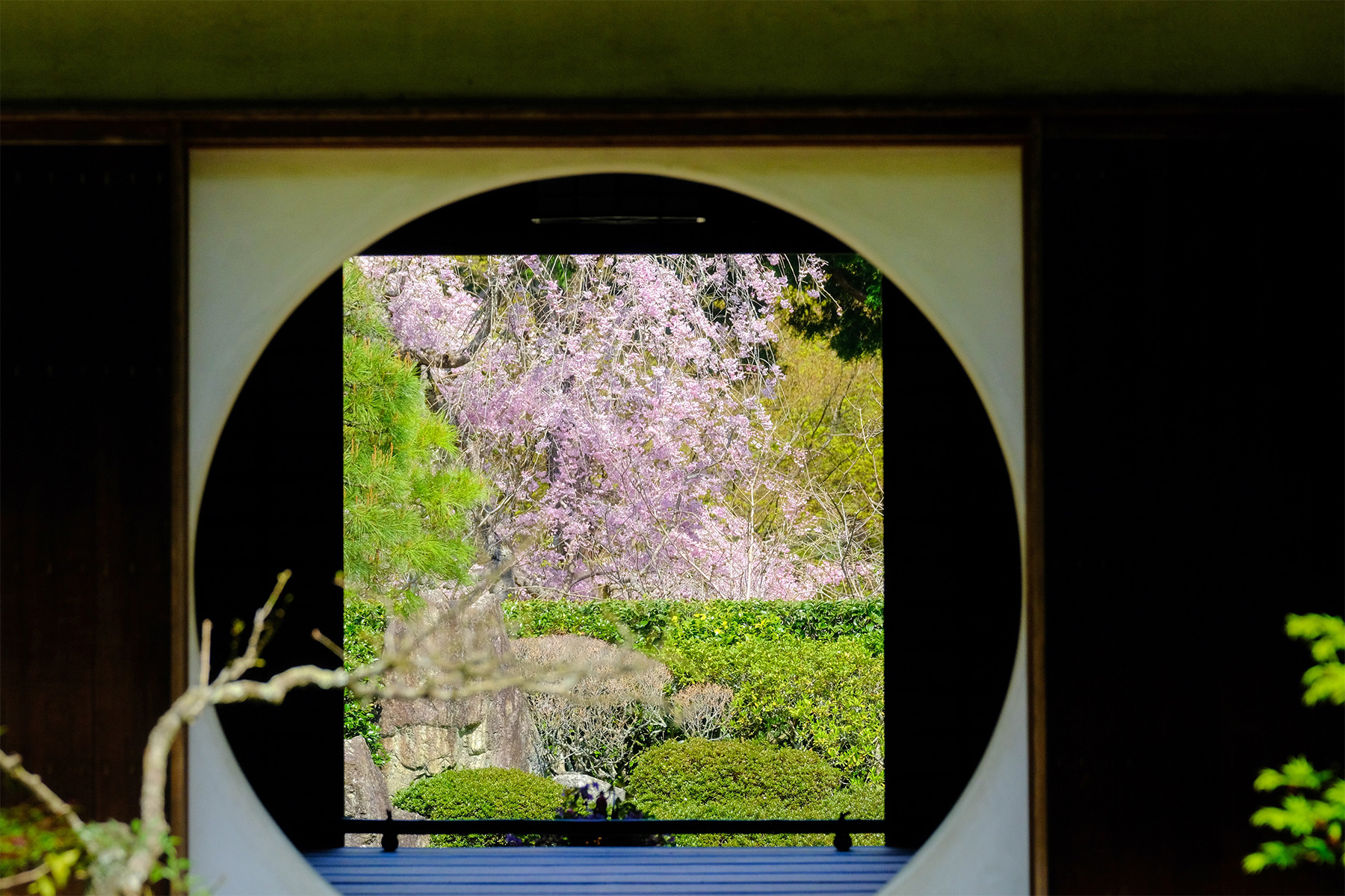 丸窓を反対から見ると四角と桜が見えた