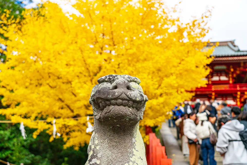 イエロースマイル