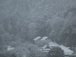 雪の東慶寺