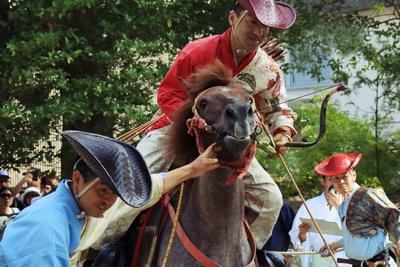 はやる馬