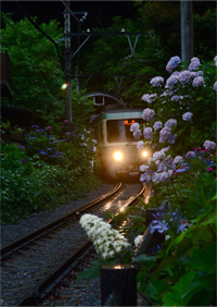 雨の夕暮れ