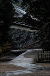 雨の参道