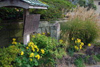 安養院