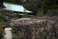 龍宝寺