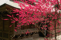 御霊神社