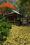 佐助稲荷神社