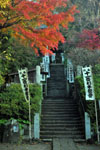 杉本寺