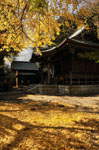 御霊神社