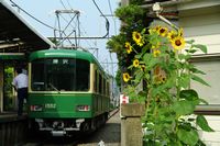 江ノ電（和田塚駅）