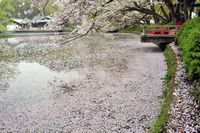 源平池（鶴岡八幡宮）