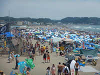 海水浴場（由比ヶ浜）