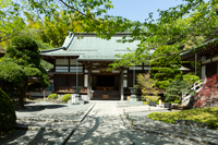報国寺