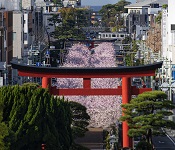 鶴岡八幡宮（「鎌倉」プロモーションフォトコンテスト2022より『鎌倉の朝』）