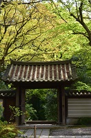 瑞泉寺　萌葱色の山門