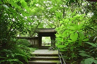 瑞泉寺・山門