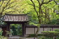 萌葱色の瑞泉寺山門