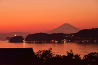 光明寺・光明寺裏山