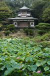 光明寺・記主庭園