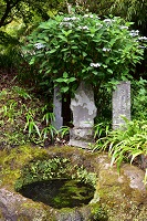 海蔵寺・底脱ノ井