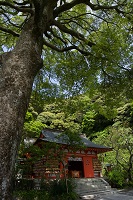 荏柄天神社・拝殿