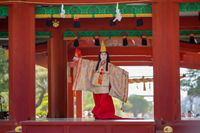 鎌倉まつり（静の舞）