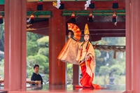 第67回鎌倉まつり「静の舞」（2025年）